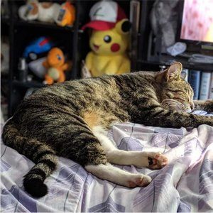 Meet your Posher, Christina